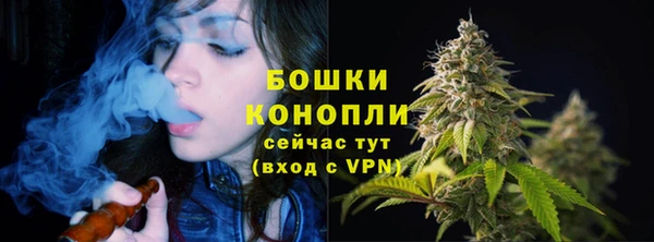 прущий лед Арсеньев