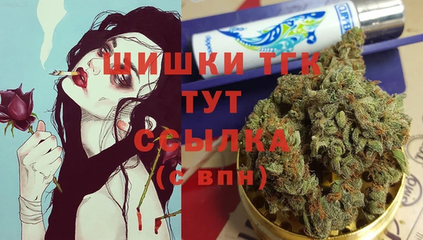 дмт Болотное