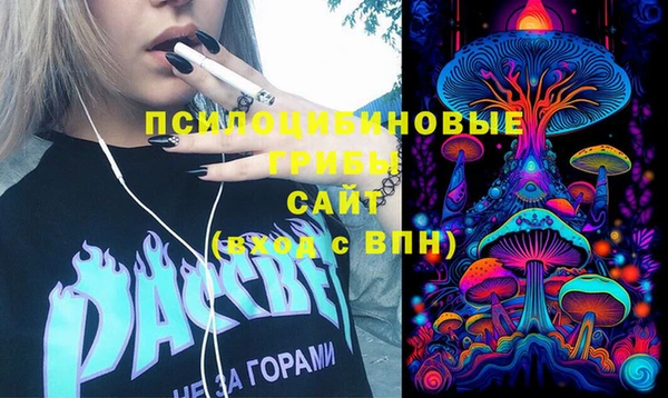 прущий лед Арсеньев