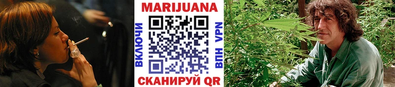 Конопля сатива  где продают   Красный Кут 